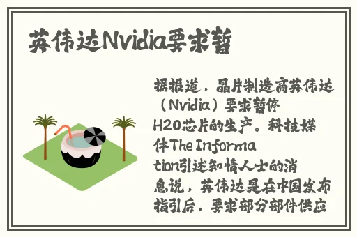 欧美2019高清hd巨大